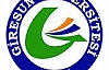 Giresun Üniversitesi Sosyal Bilimler Yüksek Lisans...