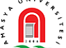 Amasya Üniversitesi Tarihçe